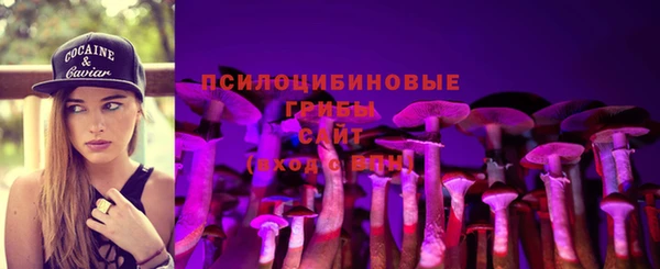 гашик Богородицк