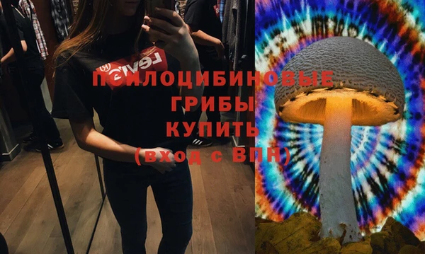 каннабис Богданович