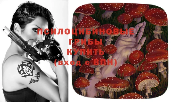 таблы Белоозёрский
