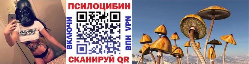 kraken вход  Джанкой  Галлюциногенные грибы GOLDEN TEACHER  хочу наркоту 